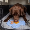 thumbnail image 4 of Fish Shaped Silicone Pet Licking Mat Multi Texture Slow Feeder Pad Anti Anxiety Food Spread Mat For Dogs Cats Indoor Feeding(Blue-17.5cm), 4 of 5