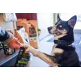 thumbnail image 4 of Hemp Sense Supplément Pet Pro, 4 of 11