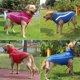 thumbnail image 5 of Waterproof Dog Clothes for Large Dogs Winter Warm Big Dog Jackets Padded Fleece Pet Coat Safety Reflective Design Dog Clothing ShopWise Round, 5 of 10