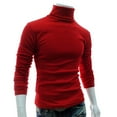 thumbnail image 2 of Autumn Men Solid Color Turtle Neck Long Sleeve Sweater Slim Knitted Pullover Top, 2 of 8