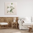thumbnail image 3 of Stupell Industries Eclectic White On Tan Blossom Canvas Art, 30 x 30, by Lucille Price, 3 of 8