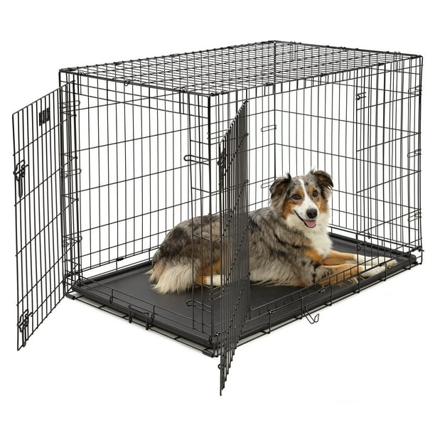 MidWest Homes For Pets Double Door iCrate Metal Dog Crate, 42