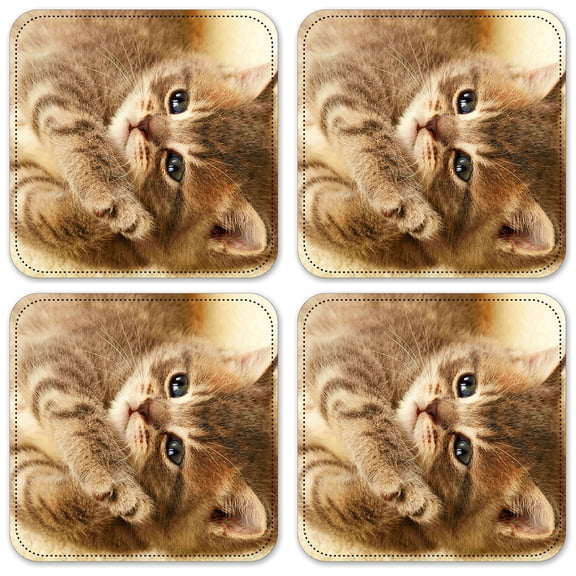 Vinyl Drink Coasters - Set of 4 - Cute Kitten