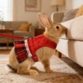 thumbnail image 4 of Lksixu Pet Supplies Rabbits Leash And Strap Set Pet Traction Rope And Vests Strap Suitable For Rabbits for Small Dogs and Cats, 4 of 6
