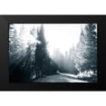 thumbnail image 2 of Murdock, Ramona 24x17 Black Modern Framed Museum Art Print Titled - Light in the Forest IV, 2 of 5