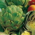 thumbnail image 4 of Ferry-Morse 450MG Artichoke Green Globe Perennial Vegetable Seeds, Full Sun, 4 of 11