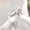 Silver, variant on Korean Simple Bow Ring, Alloy Material, Popular Design, Fashion Jewelry for Daily Wear, Gift for Women