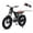 BROWN, variant on DRIFT.SLIDE 20'' Fat Tire Electric Bike for Adults, Retro Style Ebike with Dual Shock Absorption, 750W Motor, 1500W Peak with 48V Battery, Dual Disc Brakes, Purple & Black