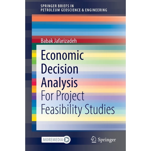 Springerbriefs in Petroleum Geoscience & Economic Decision Analysis: For Project Feasibility Studies, (Paperback)