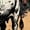 Dark Gray, variant on Western Longhorn Bull T-Shirt, Cowboy Rodeo Tee