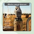 thumbnail image 6 of Scarecrow Fake Owl Decoys - Pest Repellent Garden Protectors - (small) (set of 3), 6 of 8