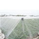 10Ft x 10Ft Moustiquaire Jardin Bug Moustiquaire Barrière Oiseau Chasse Tissu Net – image 3 sur 4