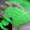 Green, variant on Glow in Dark Pebbles 3-5mm Luminous Sand for Garden Path Lawn Aquarium and DIY Decor