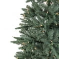 thumbnail image 3 of Northlight Real Touch™️ Pre-Lit Slim Washington Frasier Fir Artificial Christmas Tree - 9' - Clear, 3 of 9