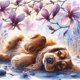thumbnail image 1 of Kit DIY 5D Magnolia Cocker Spaniel 40x40cm, 1 of 9
