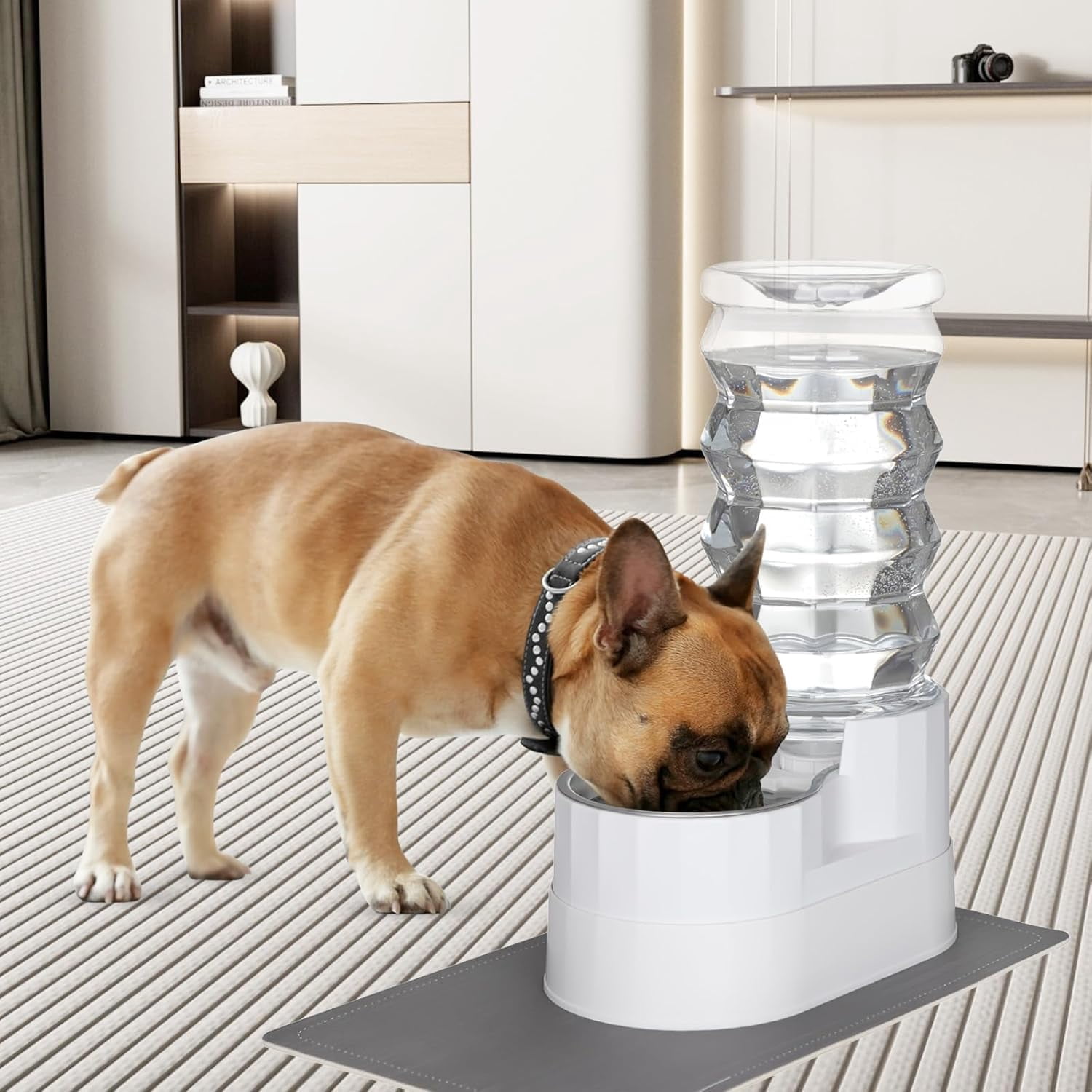 9L Automatic Stainless Steel Gravity Raised Pet Water Dispenser with Triple Filter for Senior Dogs