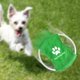 thumbnail image 1 of Disco volador de mascotas LED iluminado deportivo al aire libre resistencia a la mordedura del juguete del perro el juguete de entrenamiento del perro, 1 of 8