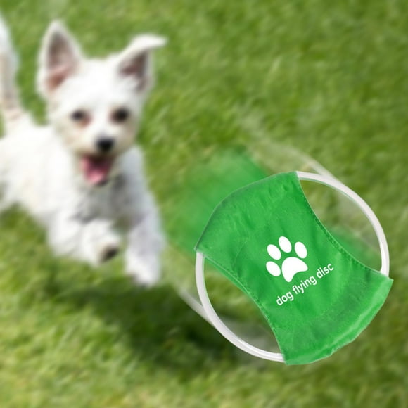 LED Disco Glow Disc Entrenamiento de perros Resistencia a la mordedura Estable Ejercicio para perros Illuminado para Park Beach Camping