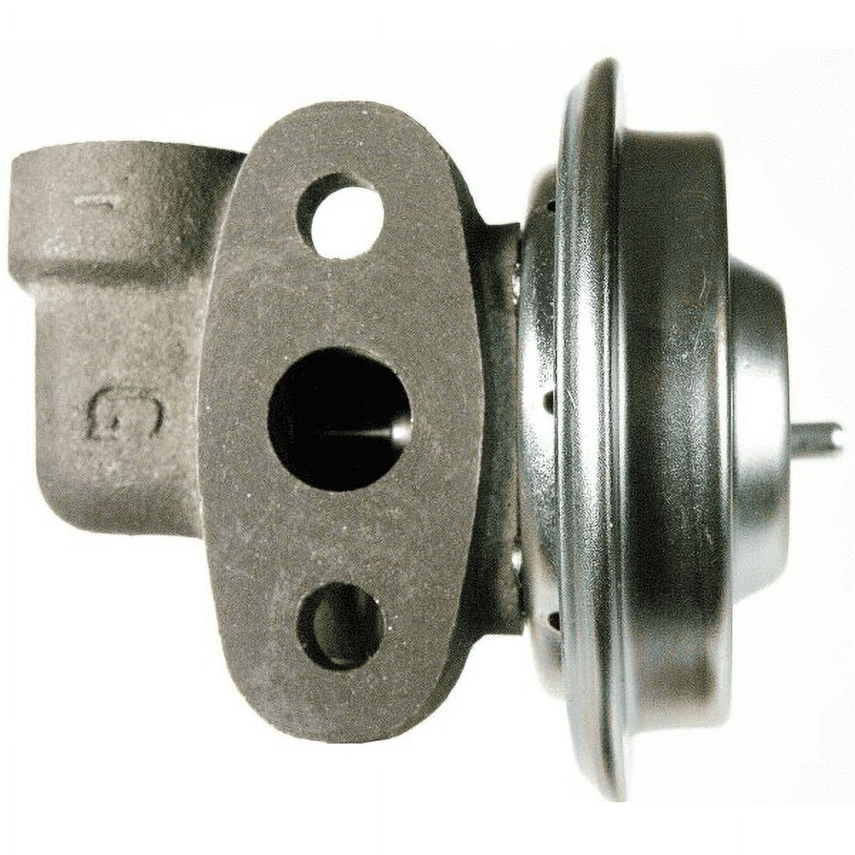 Delphi EG10234 EGR Valve