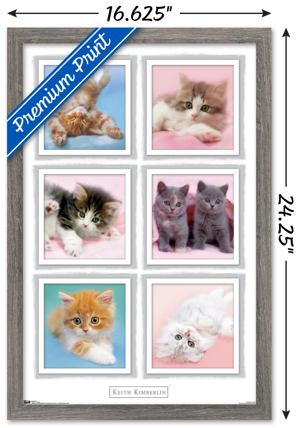 Keith Kimberlin - Kittens Wall Poster, 14.725" x 22.375", Framed