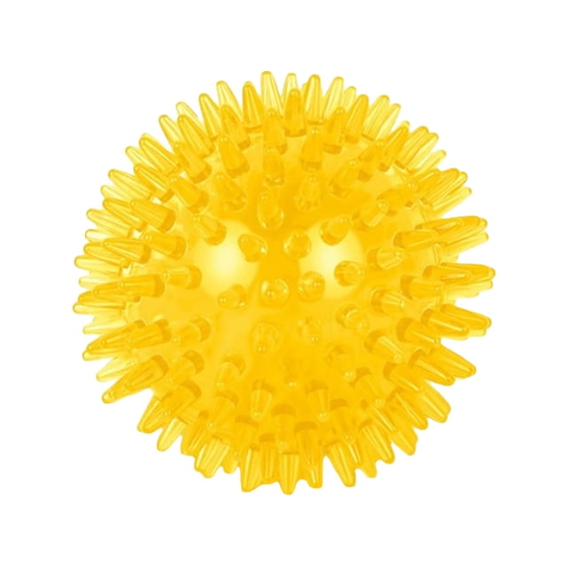 BotaniNest High Elastic TPR Squeaky Dog Toy For Chewing Floating Water Play And Care Perfect For Aggressive Chewers