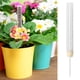 thumbnail image 5 of Moss Pole, Plant Support, Climbing Plants, Sphagnum Moss, Indoor Plants, Foldable, Plastic, for Monstera, Office Desk, Bedroom Greenery, 5 of 8