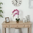 thumbnail image 6 of Nearly Natural Phalaenopsis with Glass Vase Silk Flower Arrangement, 6 of 7