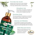 thumbnail image 5 of Difeel Rosemary and Mint Hair Shampoo with Biotin - Travel Size 2.5 Ounce, 5 of 8