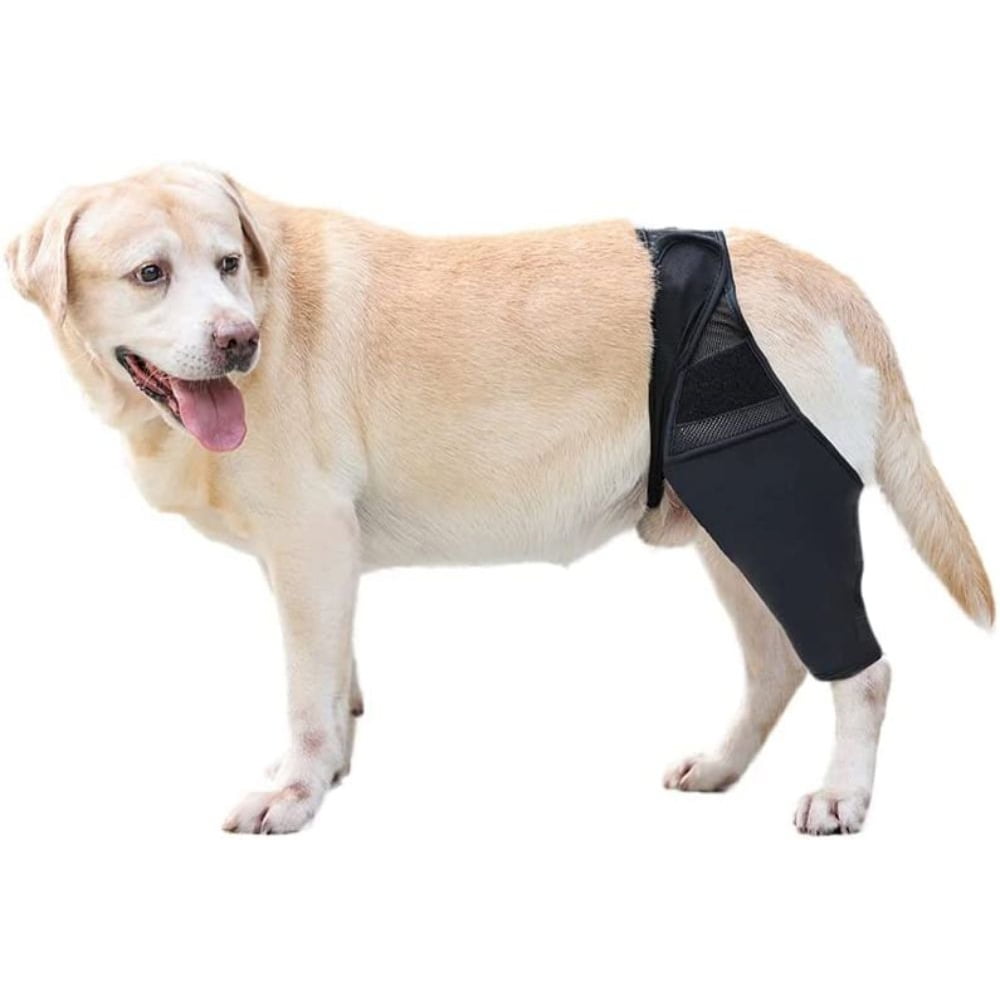 Dog Knee Brace , Dog Knee Brace for The Recovery of The Dog's hind Leg