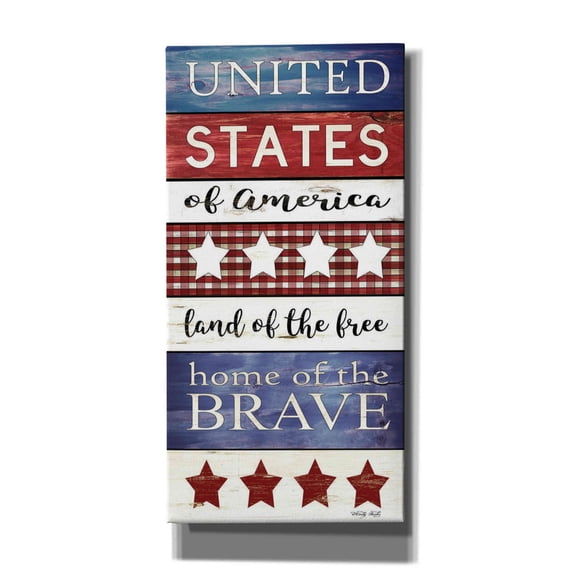 Epic Graffiti 'United States Panel' by Cindy Jacobs, Canvas Wall Art, 12"x24"