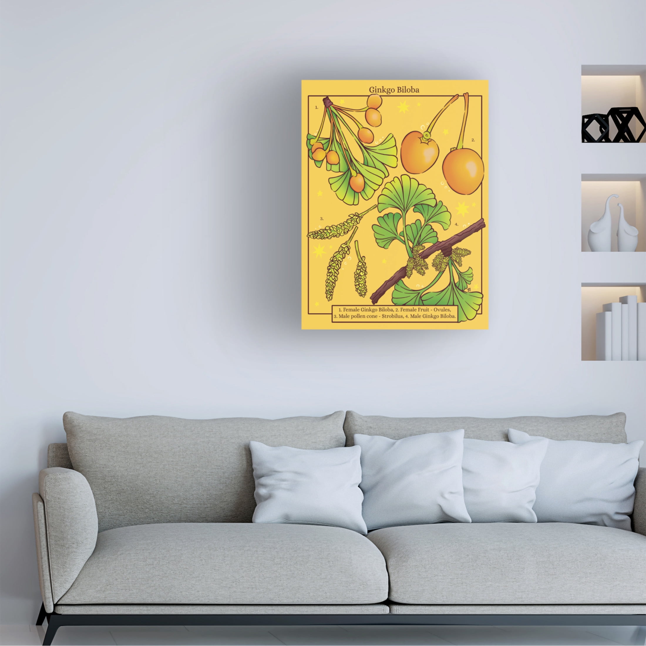 Canvas Wall Art - Rachel Feirman 'Ginkgo Biloba' Wall Art for Living Room, Bedroom, or Office Décor by Trademark Fine Art - 24 x 32 Inches