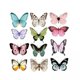 thumbnail image 1 of 2 Pegatinas De Pared Con Mariposas En 3D Para Hacer Tú Mismo, Para Decorar Tartas, Ventanas, Patios, Césped, Etc., 1 of 8
