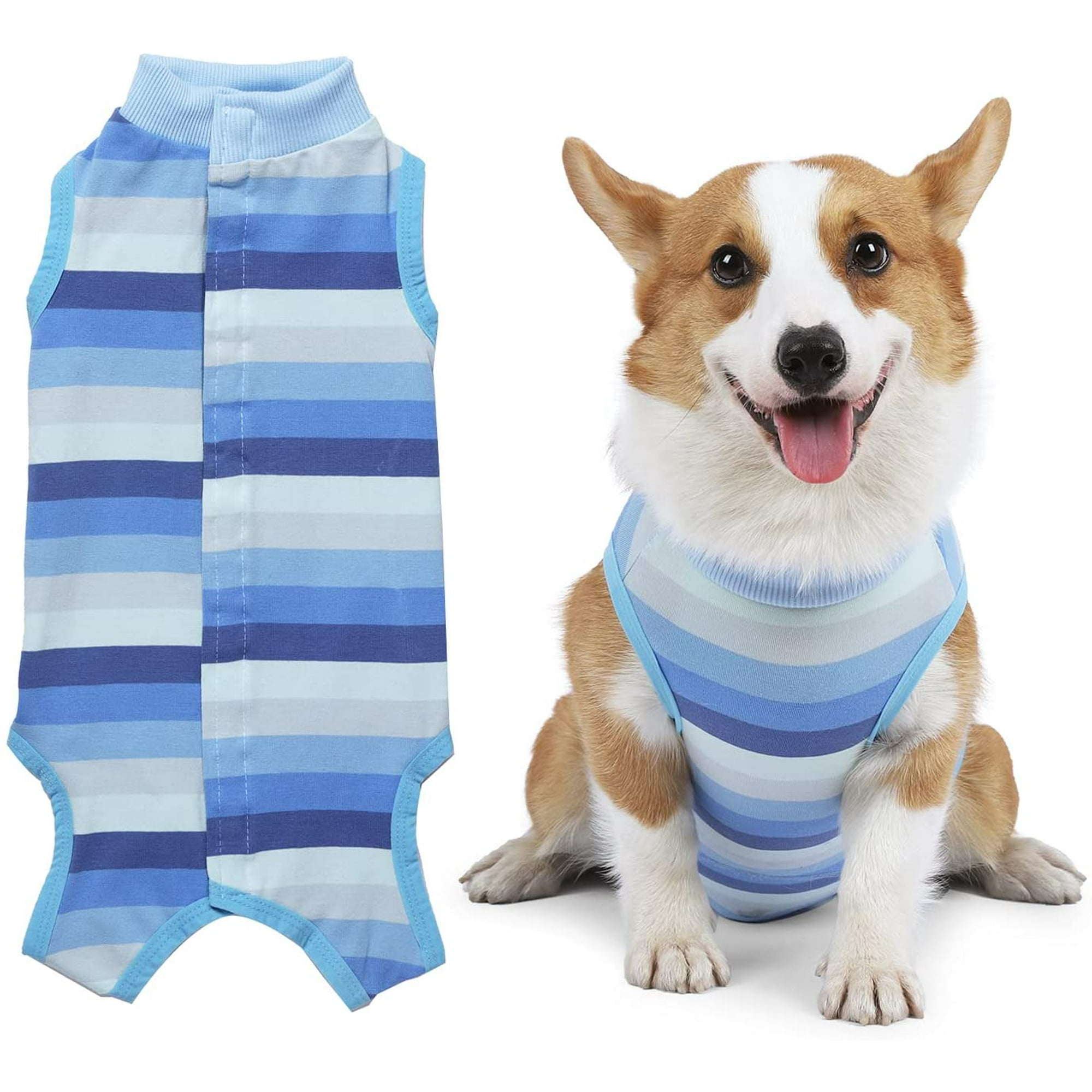 Do Blue Dogs Have Skin Problems