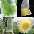 thumbnail image 5 of 20 uds. Bolsa de barrera de red para insectos, mosquitos y insectos, bolsa de malla para proteger frutas y plantas, bolsa pequeña de red para jardín, 15x25 cm oso de fresa Hogar, 5 of 5