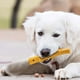 thumbnail image 3 of Mordedor Para Perros Con Forma De Palito, Resistente, Para La Salud Dental, Interactivo, 3 of 4