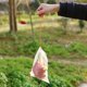 thumbnail image 4 of Bolsa de malla protectora de red de frutas para plantas de jardín para prevenir insectos plagas de aves - Blanco 100PCS 10 * 15CM Kuyhfg Bienvenido a Kuyhfg, 4 of 5