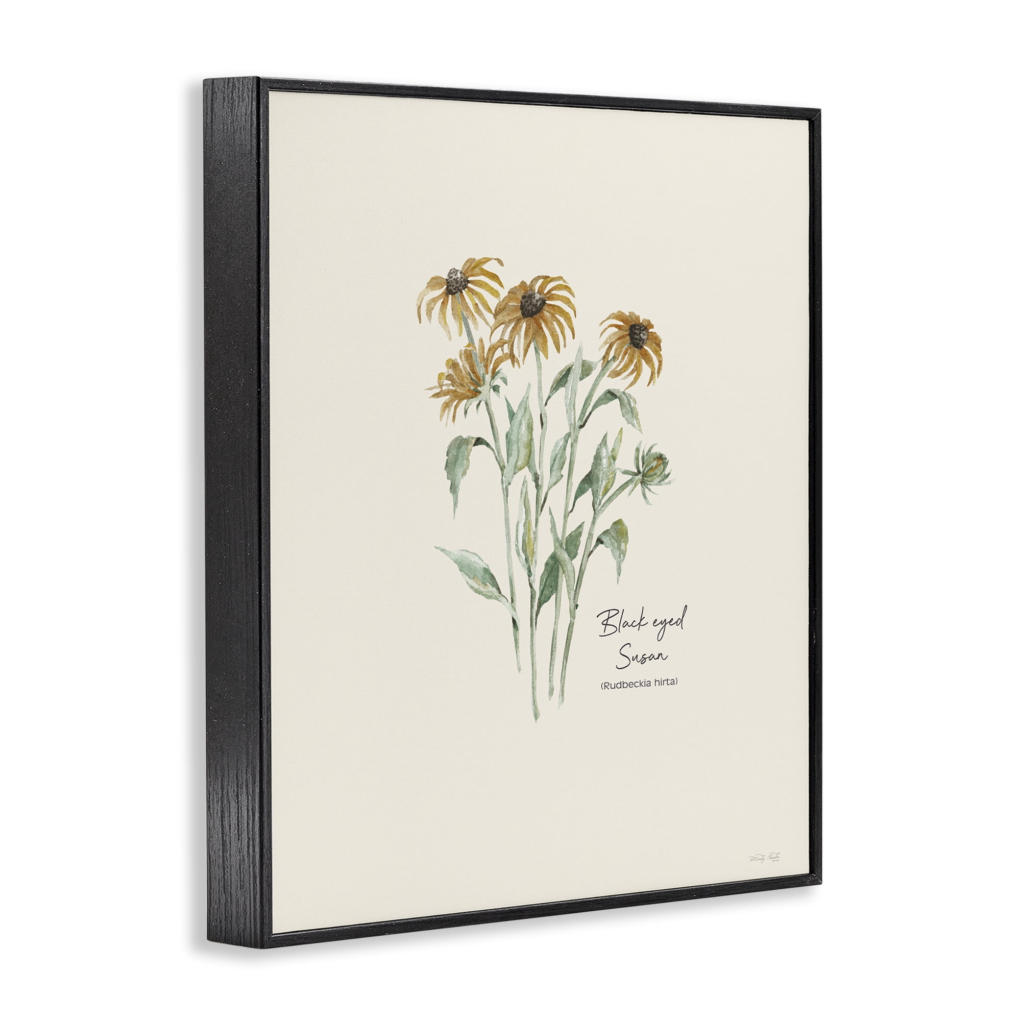Stupell Industries Black Eyed Susans Botanical & Floral Painting Black Framed Art Print Wall Art, 11 x 14