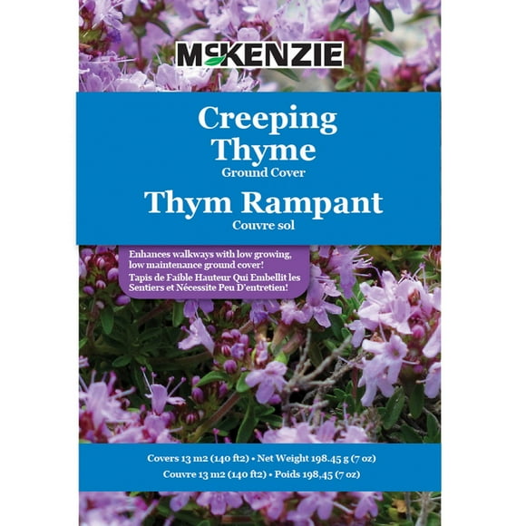 Creeping Thyme Ground Cover