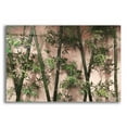 thumbnail image 1 of Epic Art 'Bamboo on Blush' by Lori Deiter Acrylic Glass Wall Art, 36"x24", 1 of 8