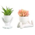 thumbnail image 1 of Lindos adornos vegetales: simulación de un lavabo de cerámica humanoide moderno en maceta carnosa, 1 of 5