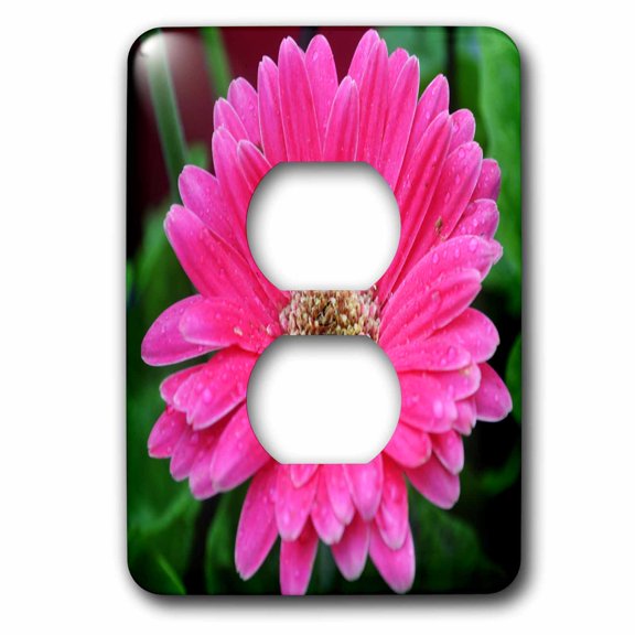 3dRose, Pink Daisy with Rain Drops Pink Gerbera Daisy, 2 plug outlet cover