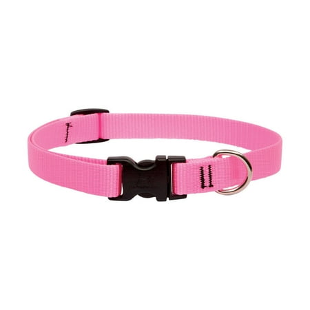 UPC: 0746889575023 | LupinePet Basic Solids Pink Pink Nylon Dog Adjustable Collar