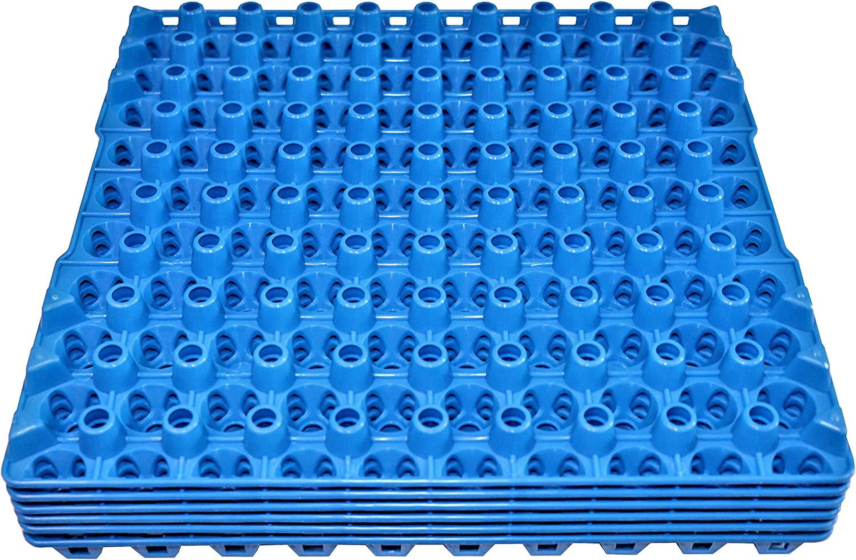 WJSP 6 Pack 90 Egg Plastic Trays 12.38x12.38x1.25in for Quail Pigeon Dove Bird Flat Carton Washable Heavy Duty