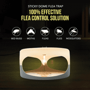 Aspectek Sticky Dome Flea and Bed Bug Trap, 2 Glue Discs, 1-Pack