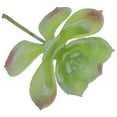 thumbnail image 4 of Unpotted Artificial Succulent Plant - Faux Plastic Decor for Home Office DIY Projects, 4 of 8