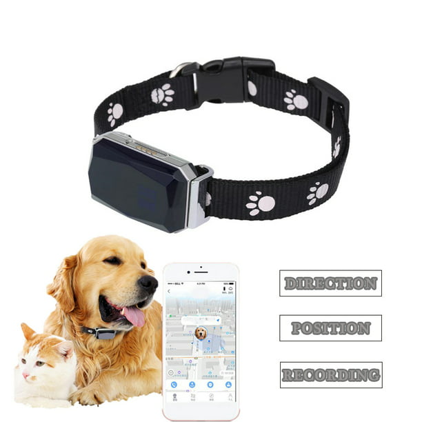 Smart GPS Dog Collar Tracker, Direction & Location Pet Tracking Smart Collar  Device, GPS + AGPS + LBS + WIFI Real-Time US Verizon Coverage Nationwide,  iPhone & Android Apps 
