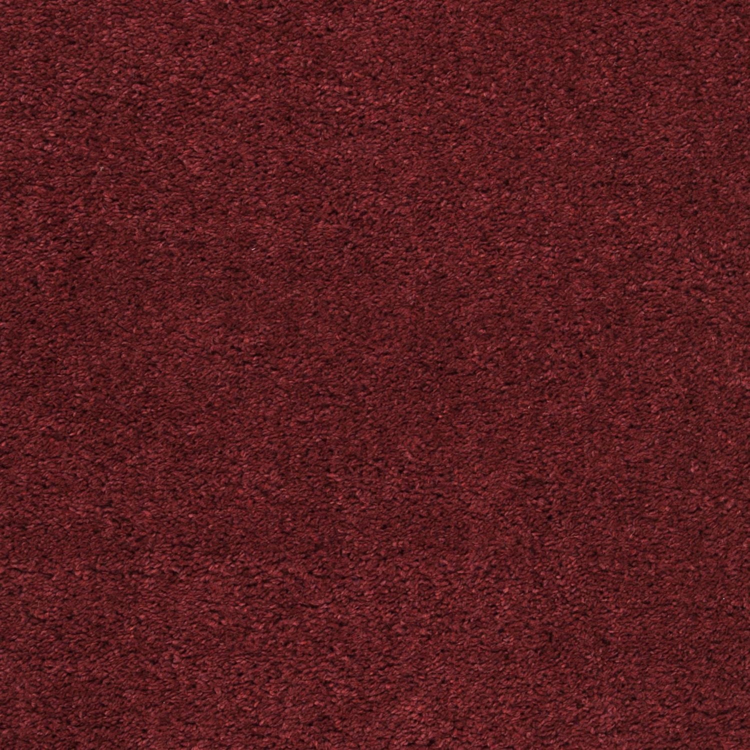 SAFAVIEH August Carlene Tapis Peluche Shag