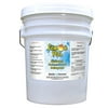 Lemon Plus liquid dishwash concentrated detergent. - 5 gallon pail