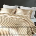 thumbnail image 3 of Whale Flotilla 3-Piece Reversible Silky Soft Queen Comforter Set, Luxury Stripe Satin Comforters Full Size Bedding Set with 2 Satin Pillowcases, Lightweight Duvet for All Seasons, Champagne, 3 of 8