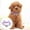 Purple, variant on Adjustable Pearl Pet Collar Chain for Dogs and Cats Comfortable Secure Leash Accessory